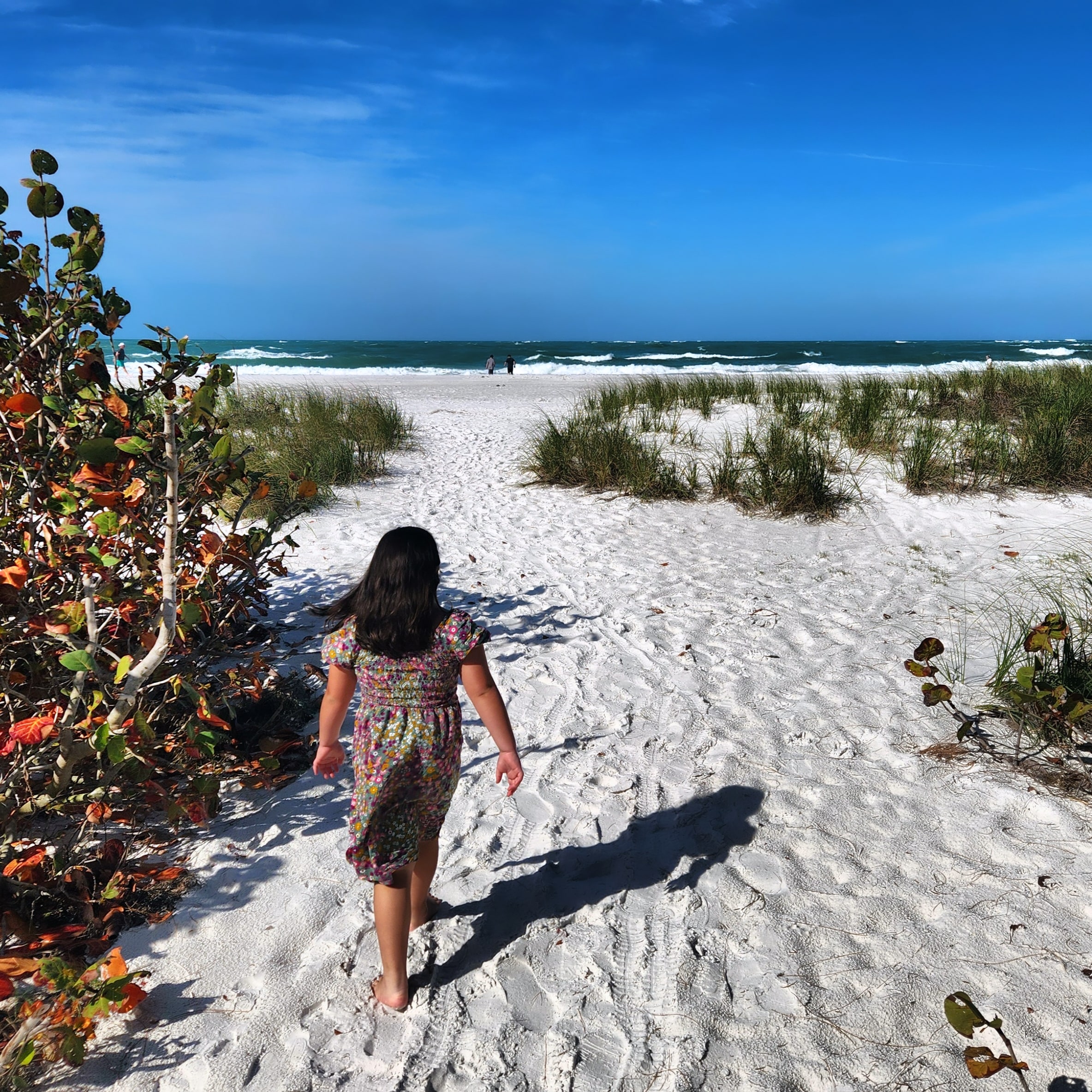 Anna Maria Island vacation rental moment